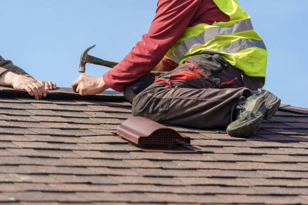 Best Roof Maintenance Services  in Grandy, NC