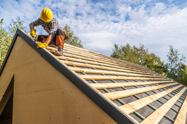Professional Roofing Contractor in Grandy, NC